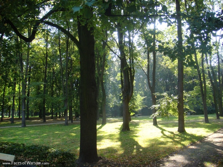 Faces of Warsaw - Saxon Garden (Ogród Saski) in Summer