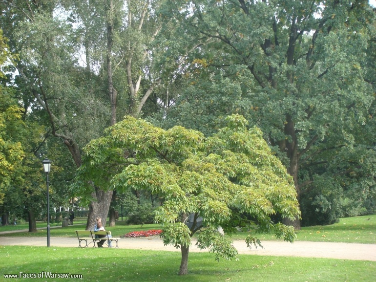 Faces of Warsaw - Saxon Garden (Ogród Saski) in Summer