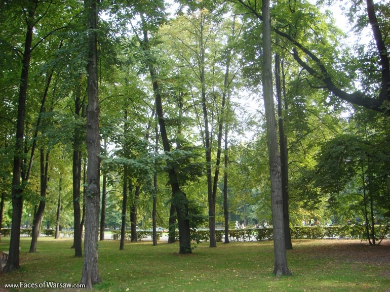 Faces of Warsaw - Saxon Garden (Ogród Saski) in Summer
