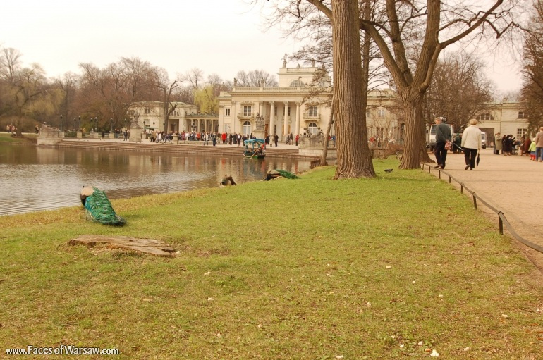 Faces of Warsaw - Łazienki in Spring