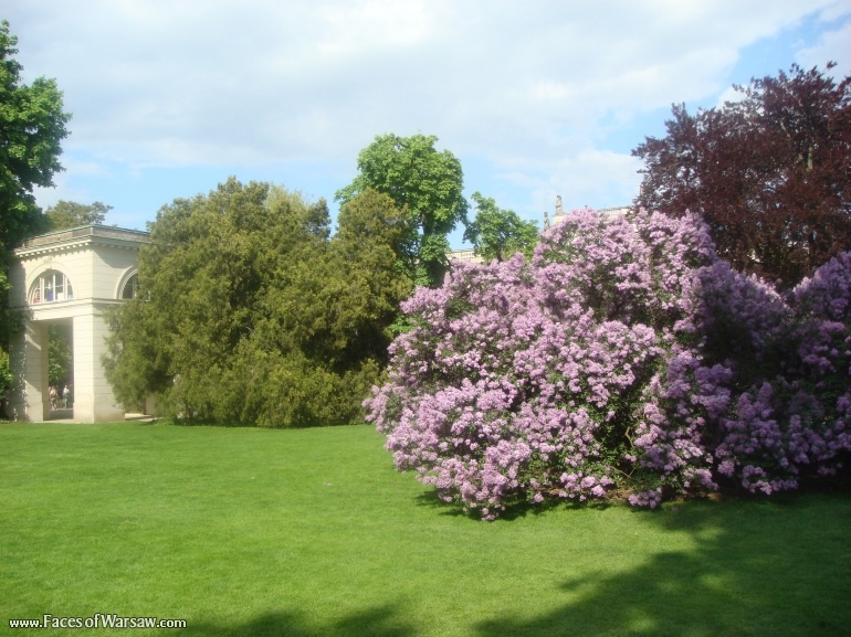 Faces of Warsaw - Łazienki in Spring