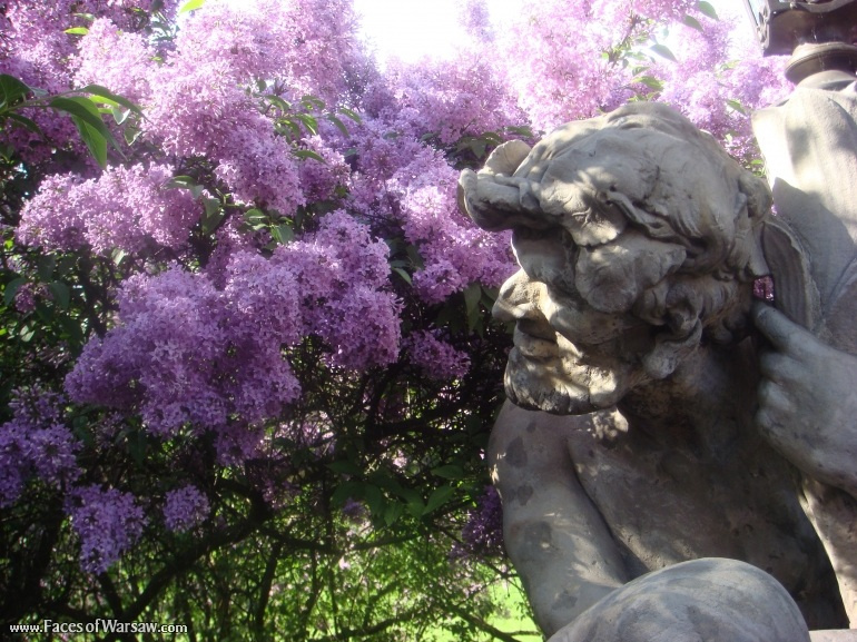 Faces of Warsaw - Łazienki in Spring