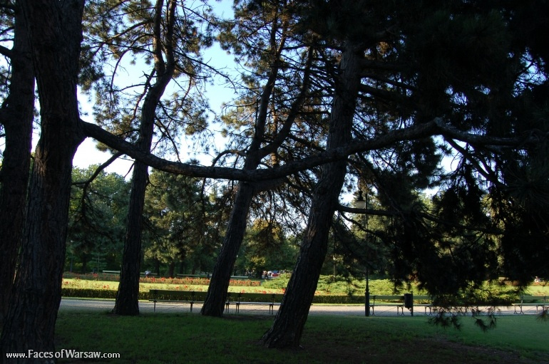 Faces of Warsaw - Ujazdów Park in Summer
