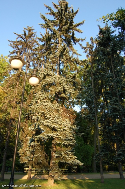 Faces of Warsaw - Ujazdów Park in Summer