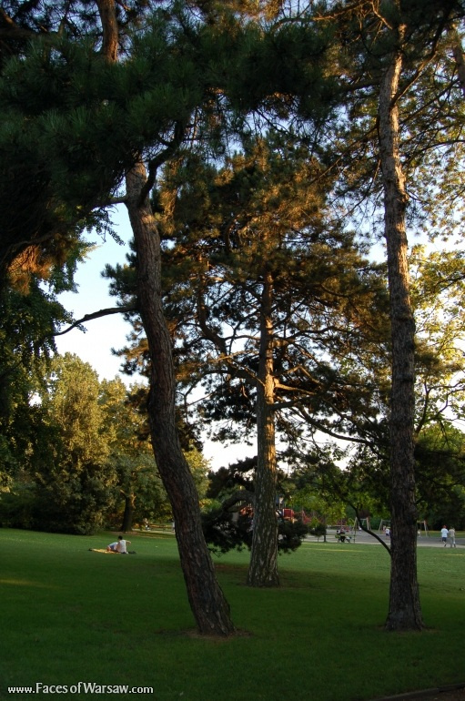 Faces of Warsaw - Ujazdów Park in Summer