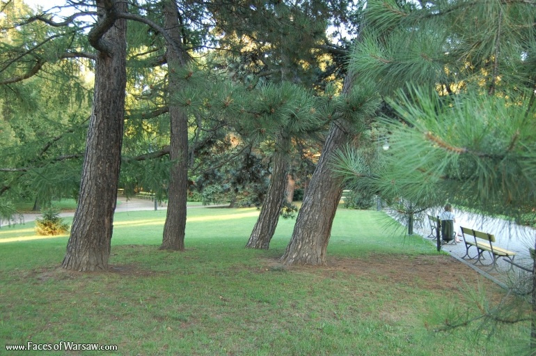Faces of Warsaw - Ujazdów Park in Summer
