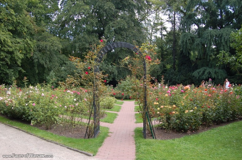 Faces of Warsaw - Botanical Garden of the University of Warsaw