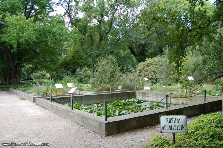 Faces of Warsaw - Botanical Garden of the University of Warsaw