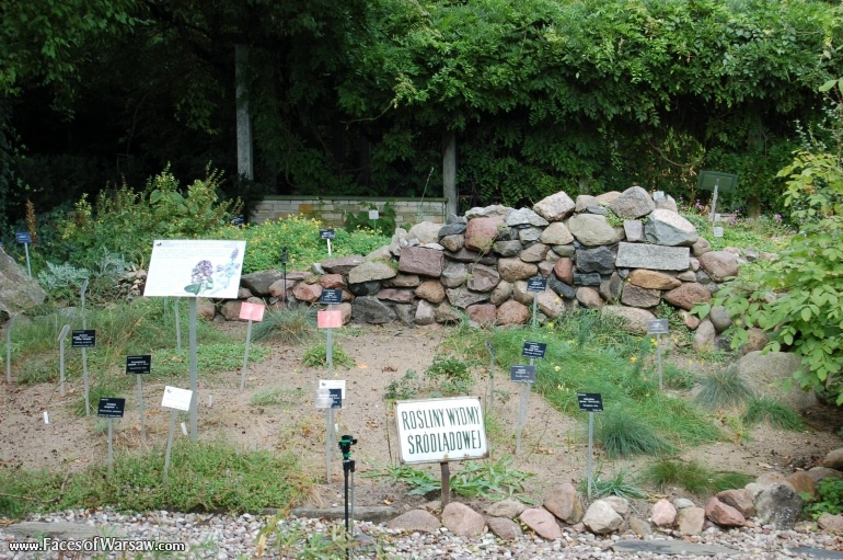 Faces of Warsaw - Botanical Garden of the University of Warsaw