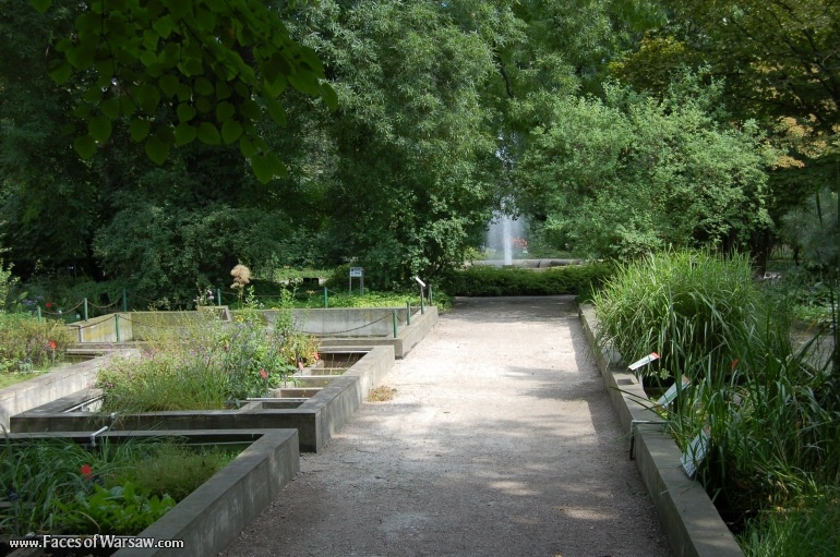 Faces of Warsaw - Botanical Garden of the University of Warsaw