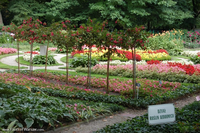 Faces of Warsaw - Botanical Garden of the University of Warsaw