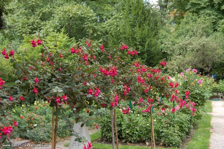 Faces of Warsaw - Botanical Garden of the University of Warsaw