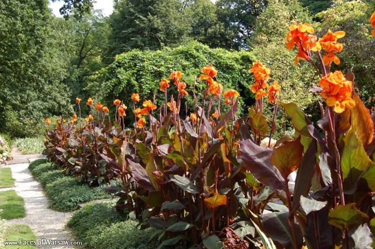Faces of Warsaw - Botanical Garden of the University of Warsaw