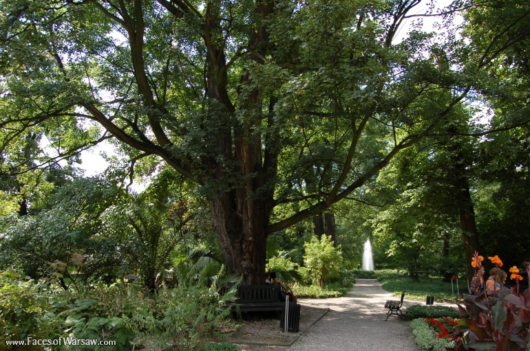 Faces of Warsaw - Botanical Garden of the University of Warsaw