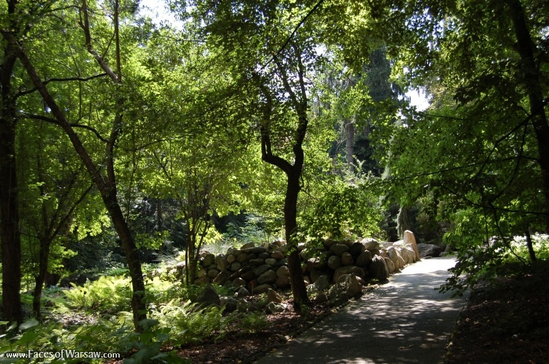 Faces of Warsaw - Botanical Garden of the University of Warsaw