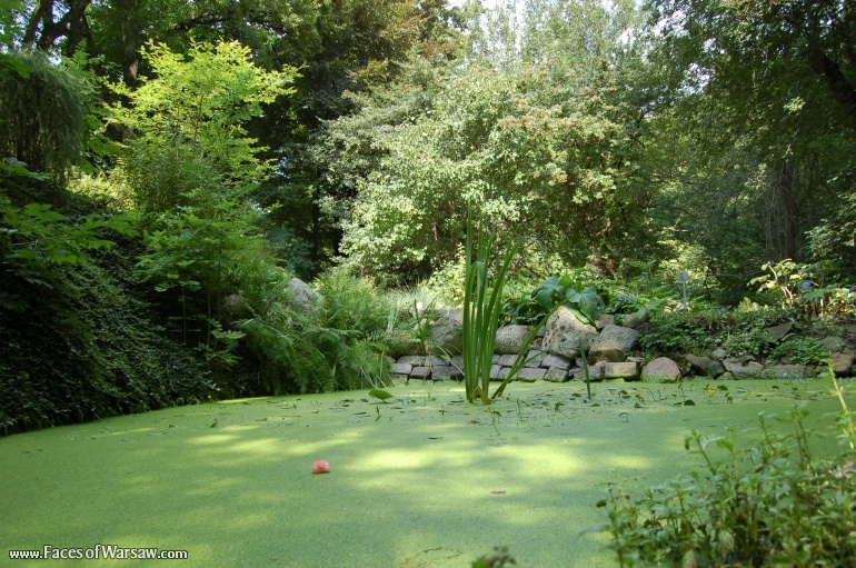 Faces of Warsaw - Botanical Garden of the University of Warsaw