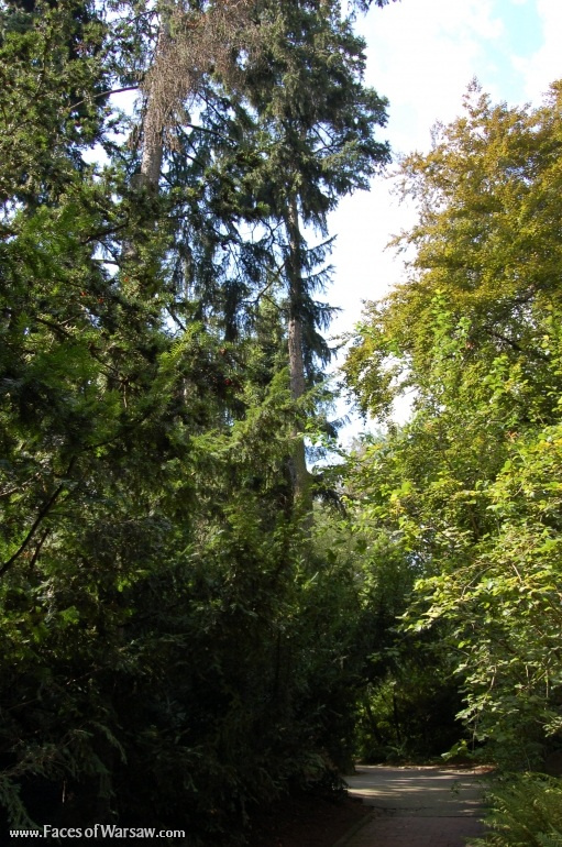 Faces of Warsaw - Botanical Garden of the University of Warsaw