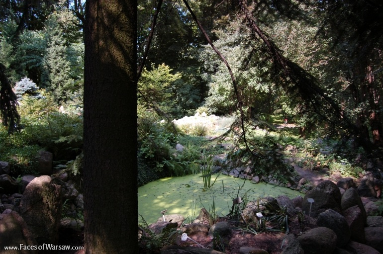 Faces of Warsaw - Botanical Garden of the University of Warsaw