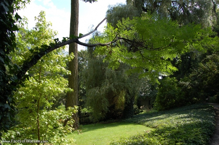 Faces of Warsaw - Botanical Garden of the University of Warsaw