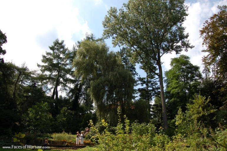 Faces of Warsaw - Botanical Garden of the University of Warsaw
