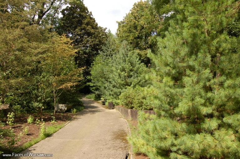 Faces of Warsaw - Botanical Garden of the University of Warsaw