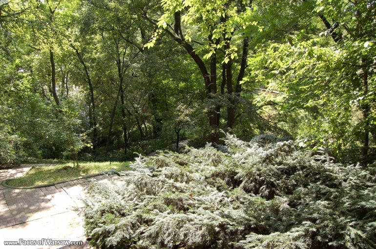 Faces of Warsaw - Botanical Garden of the University of Warsaw
