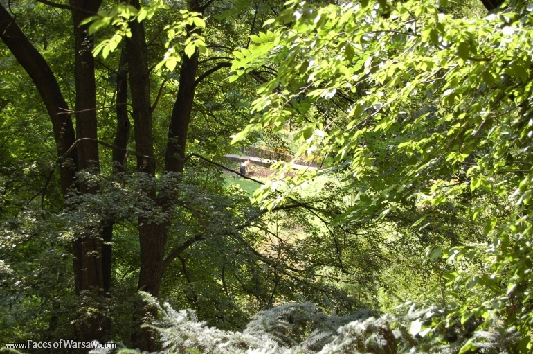Faces of Warsaw - Botanical Garden of the University of Warsaw