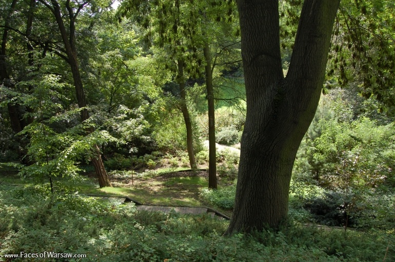 Faces of Warsaw - Botanical Garden of the University of Warsaw