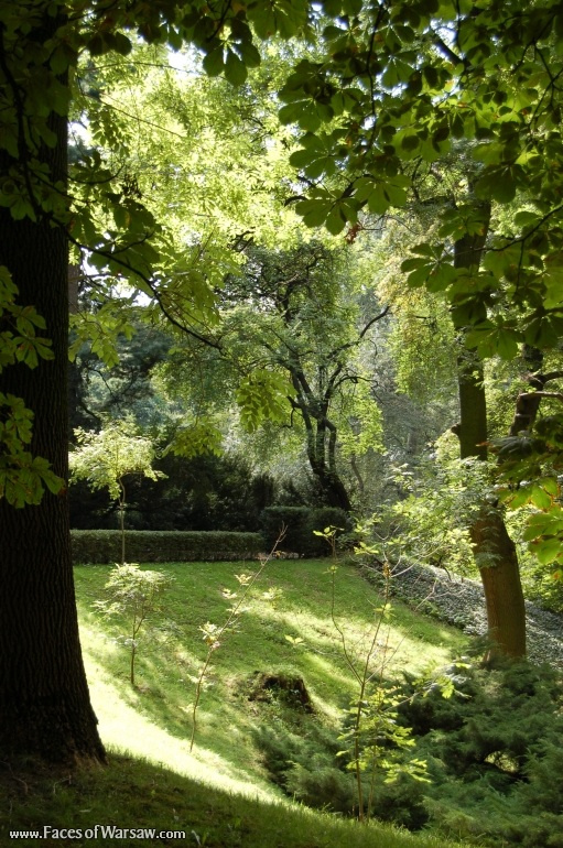 Faces of Warsaw - Botanical Garden of the University of Warsaw