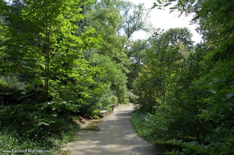 Faces of Warsaw - Botanical Garden of the University of Warsaw