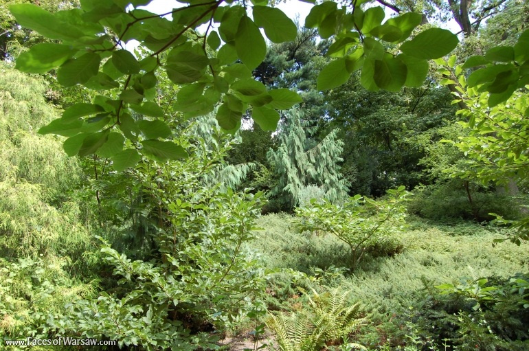 Faces of Warsaw - Botanical Garden of the University of Warsaw