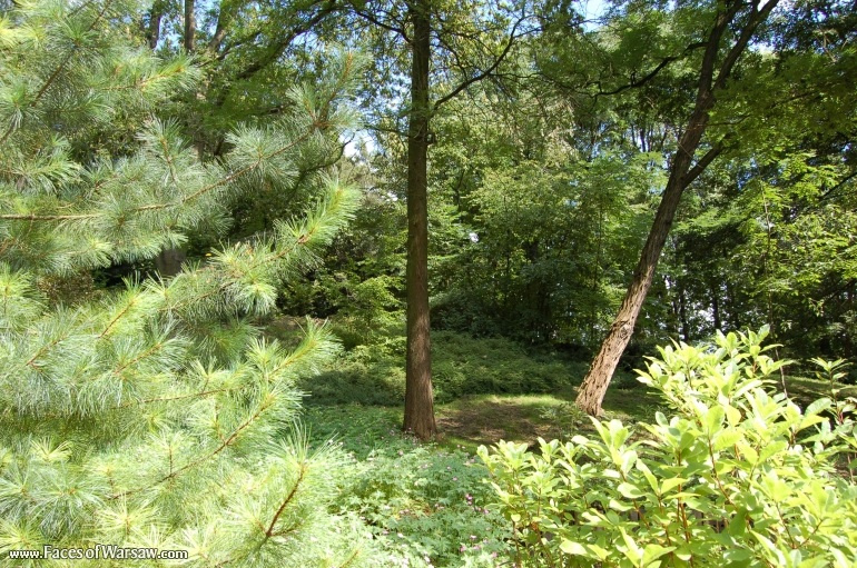 Faces of Warsaw - Botanical Garden of the University of Warsaw