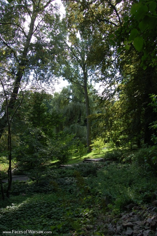 Faces of Warsaw - Botanical Garden of the University of Warsaw