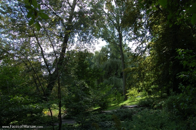Faces of Warsaw - Botanical Garden of the University of Warsaw