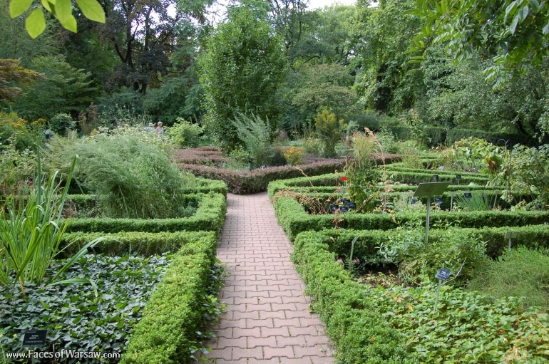 Faces of Warsaw - Botanical Garden of the University of Warsaw