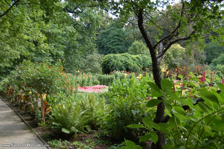 Faces of Warsaw - Botanical Garden of the University of Warsaw