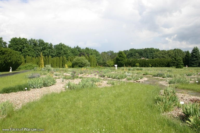 Faces of Warsaw - Botanical Garden of the Polish Academy of Sciences, Powsin