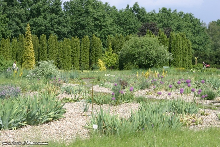 Faces of Warsaw - Botanical Garden of the Polish Academy of Sciences, Powsin