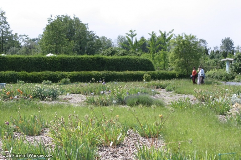 Faces of Warsaw - Botanical Garden of the Polish Academy of Sciences, Powsin