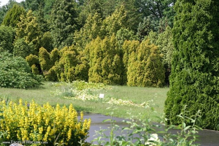Faces of Warsaw - Botanical Garden of the Polish Academy of Sciences, Powsin