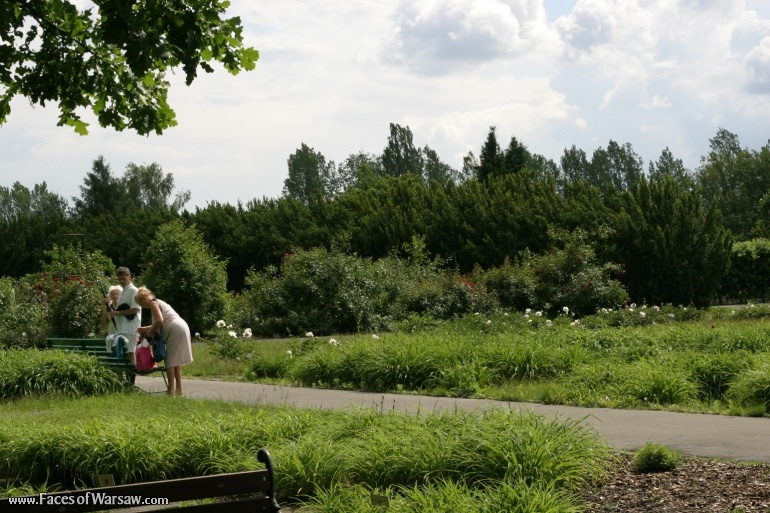 Faces of Warsaw - Botanical Garden of the Polish Academy of Sciences, Powsin
