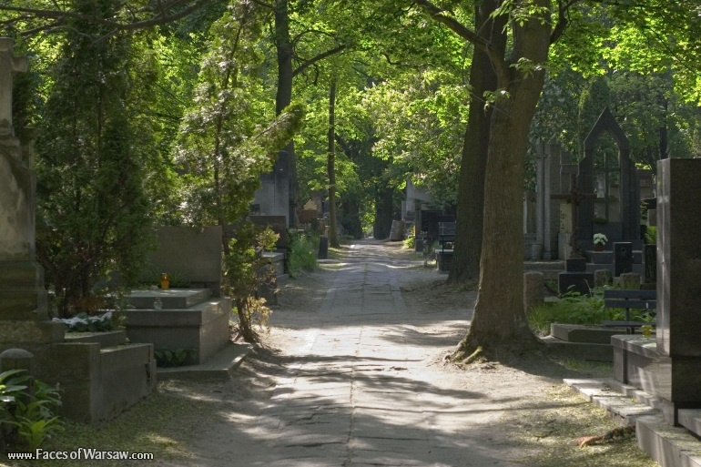 Faces of Warsaw - Powązki in Summer