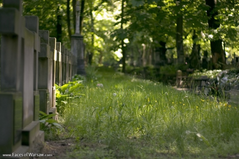 Faces of Warsaw - Powązki in Summer