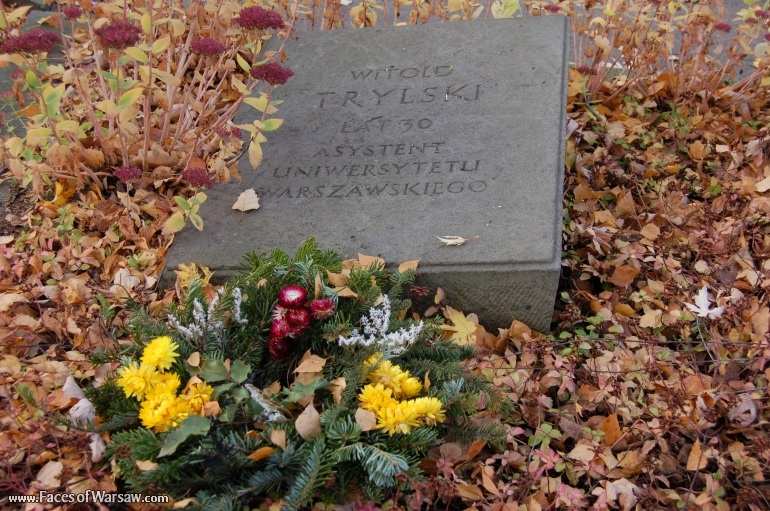 Faces of Warsaw - Powązki - Military Cemetery, All Saints 2008