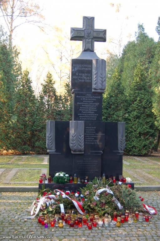 Faces of Warsaw - Powązki - Military Cemetery, All Saints 2008