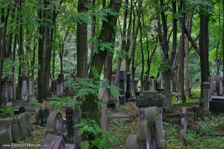 Faces of Warsaw - Jewish Cemetery