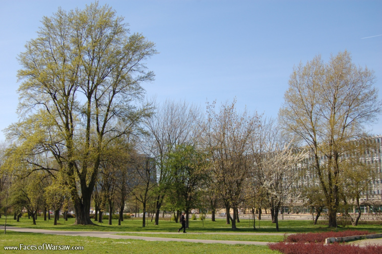 Faces of Warsaw - Mokotów Field, Spring 2009