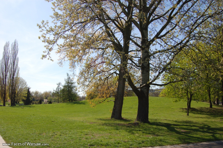 Faces of Warsaw - Mokotów Field, Spring 2009