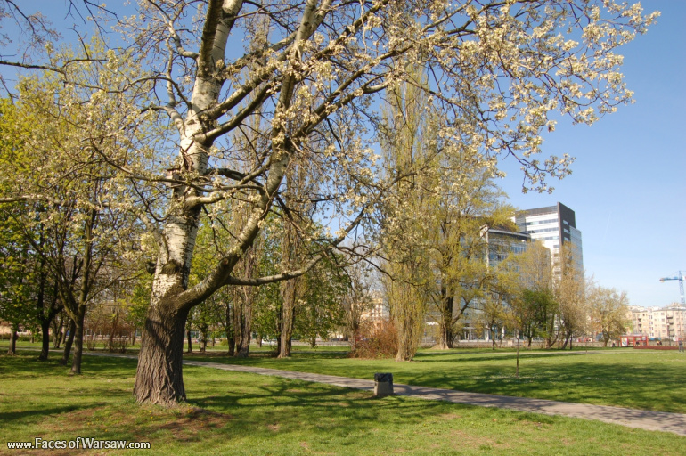 Faces of Warsaw - Mokotów Field, Spring 2009