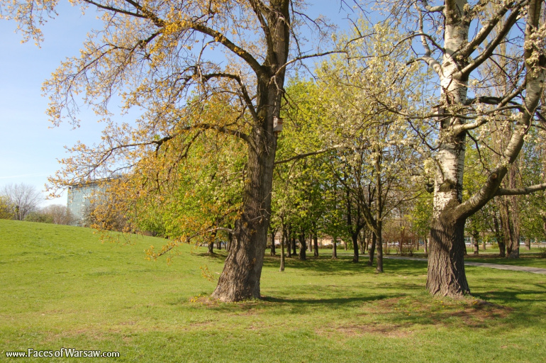 Faces of Warsaw - Mokotów Field, Spring 2009